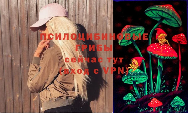 ALPHA PVP Медногорск