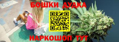 прущие крисы Будённовск