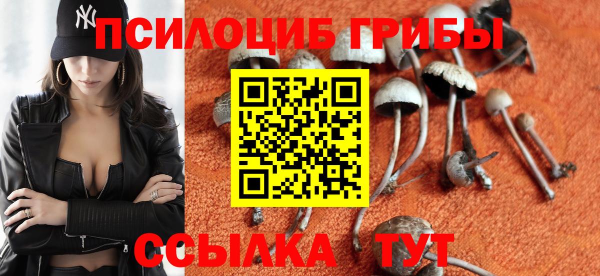 Псилоцибиновые грибы ЛСД  Вход с VPN  Домодедово 
