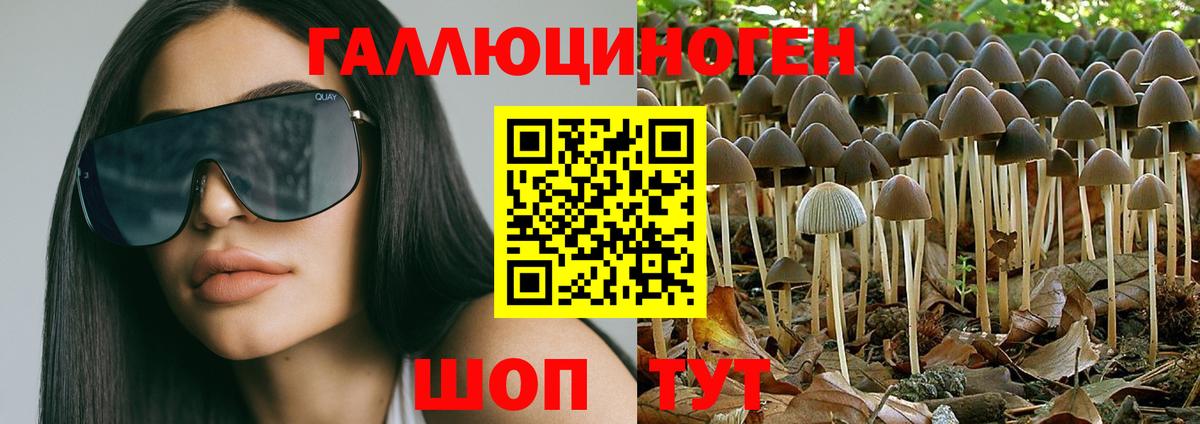 Псилоцибиновые грибы ЛСД  Домодедово 