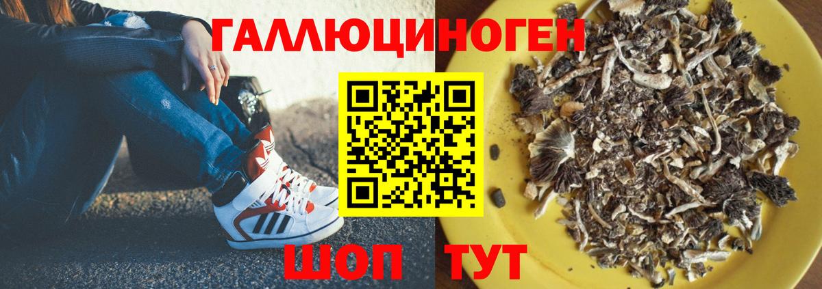 Псилоцибиновые грибы мицелий Домодедово