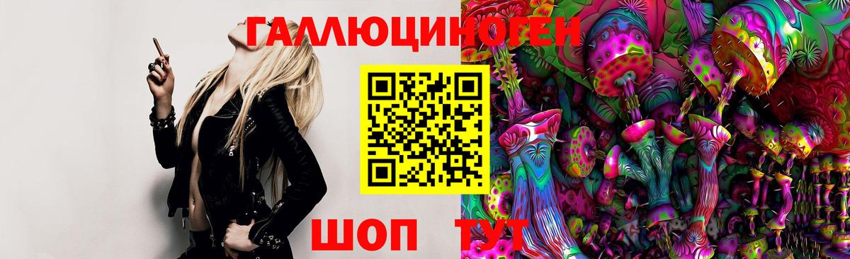 Галлюциногенные грибы GOLDEN TEACHER Домодедово